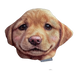 Brunswick Animal Grip Sack - Dog