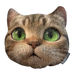 Brunswick Animal Grip Sack - Cat