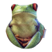 Brunswick Animal Grip Sack - Tree Frog