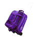 Vise 2-Ball Classic Roller Bowling Bag Bowling Bags